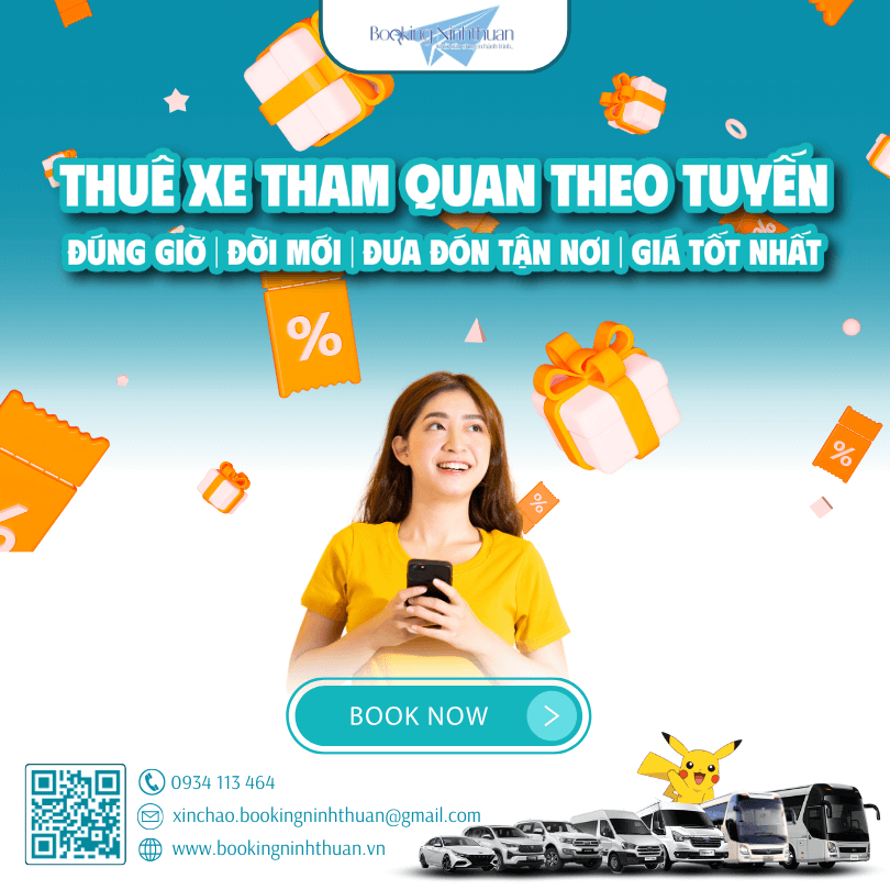 Trải nghiệm dịch vụ thuê xe tham quan Ninh Thuận theo tuyến đa tiện ích của Booking Ninhthuan