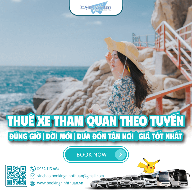 Bảng giá thuê xe 29 chỗ tham quan Ninh Thuận (Cập nhật 2024)